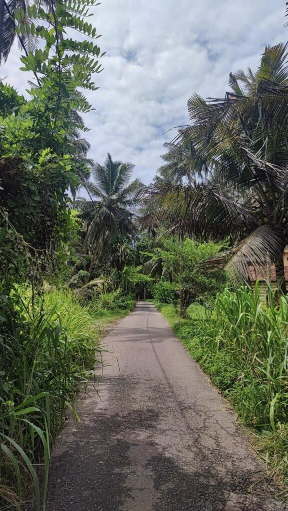 Strada in Sri Lanka