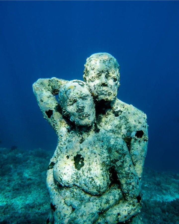 jason decaires taylor