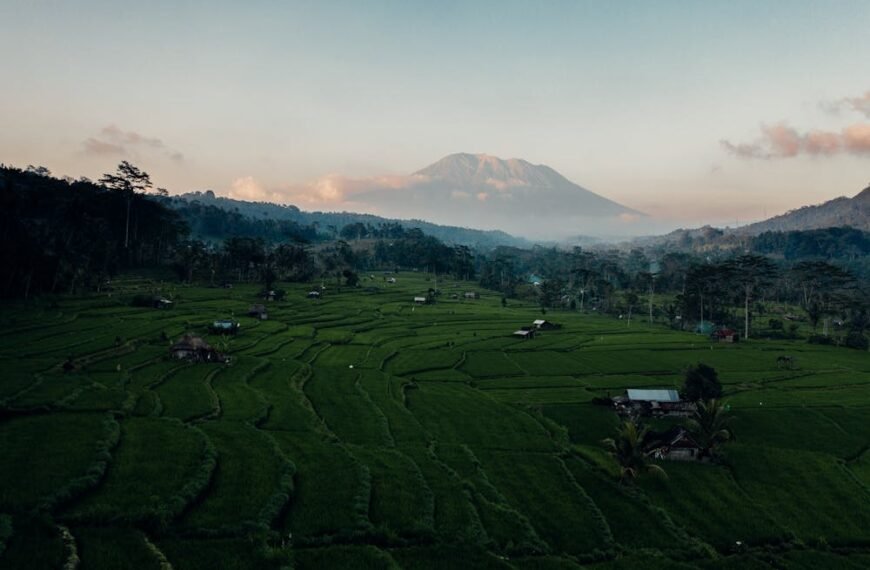 come organizzare un viaggio economico a bali