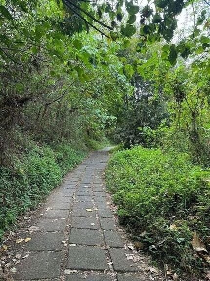 Il cuore di Ubud.