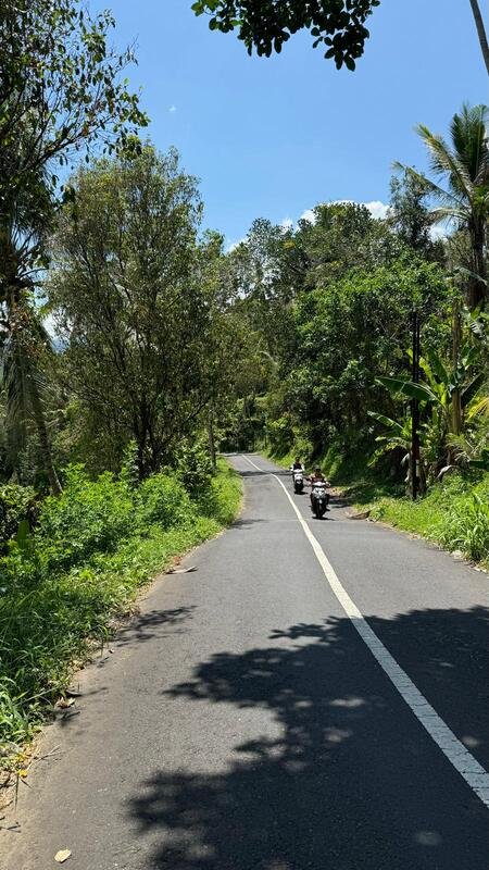 Strada Balinese immersa nel verde