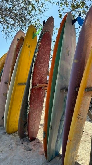 Tavole da surf in spiaggia