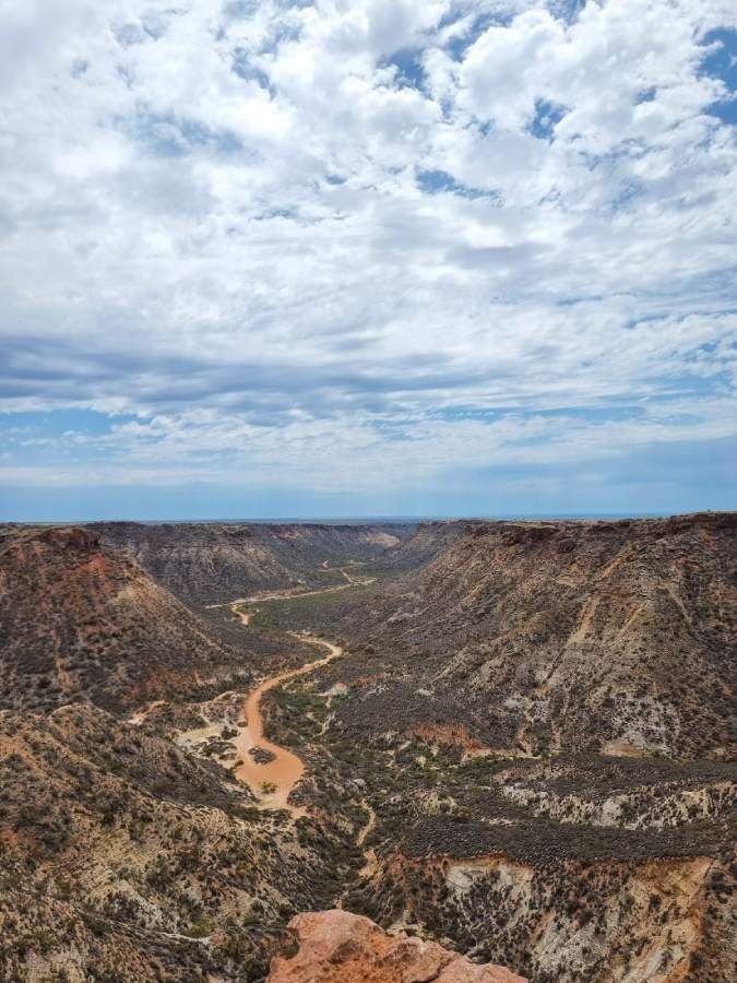 Deserto Australe