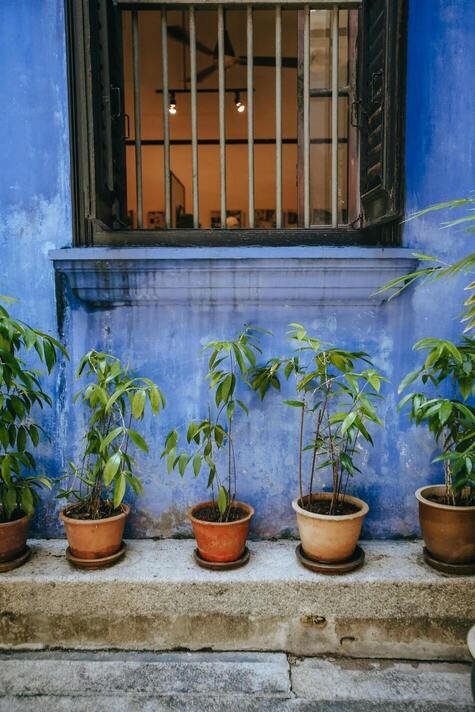 Blue Mansion George Town - fotografia di Vitalina