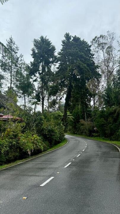 Consigli di viaggio Malesia vista su una strada