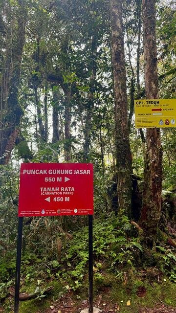 Trekking alle Cameron Highlands