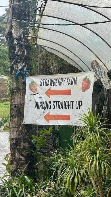 cartelli esterni di una fattoria di fragole in Malesia